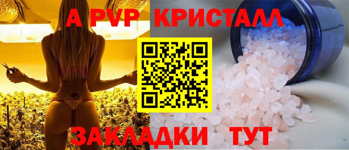 Alfa_PVP СК Слободской