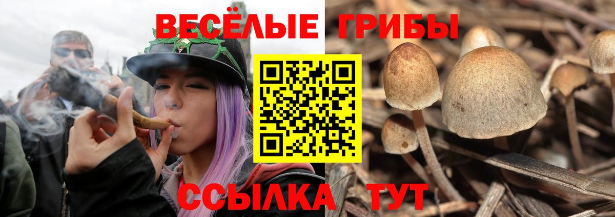 Псилоцибиновые грибы прущие грибы Слободской